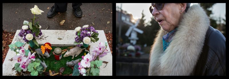 © Thomas Freteur - Image from the  Le Paradis des animaux - Belgium, 2012/2013 (Work in progre photography project