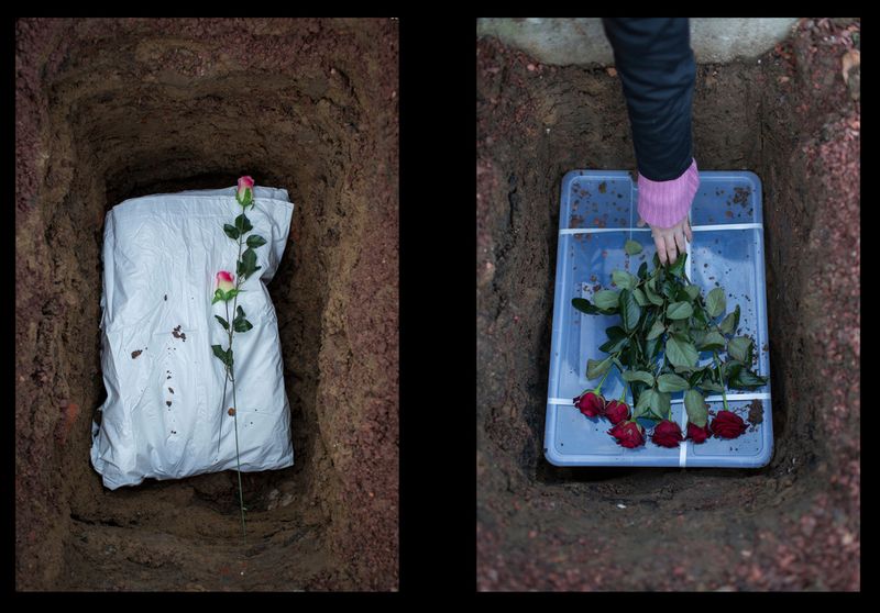 © Thomas Freteur - Image from the  Le Paradis des animaux - Belgium, 2012/2013 (Work in progre photography project