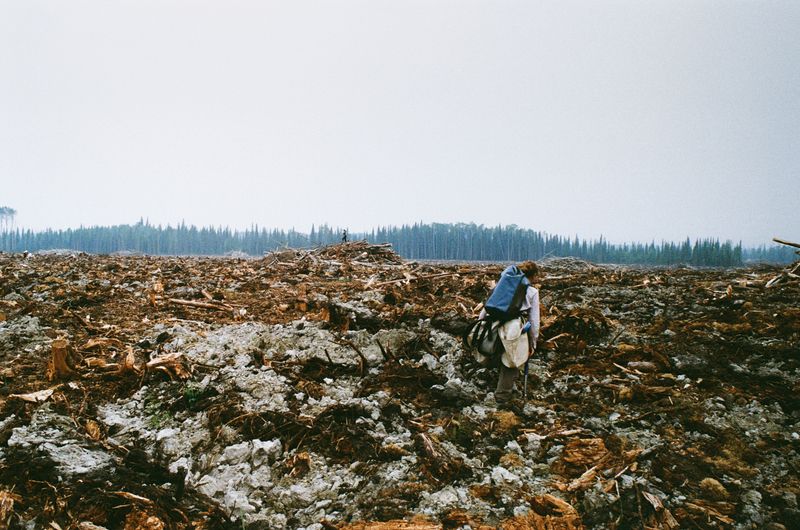 © Aidan Clark - Planter walking through the cut-block to get back to the LZ to meet their ride home.
