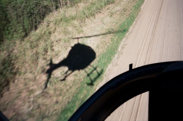 © Aidan Clark - Taking-off to fly to the cut-blocks to work all day.