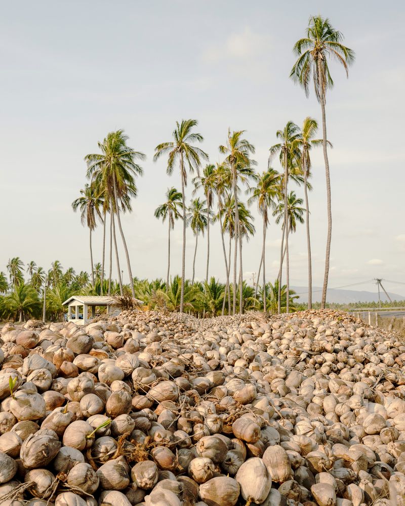 © Mario Alberto Chávez - Image from the Caxitlán photography project