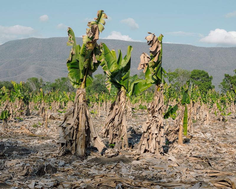 © Mario Alberto Chávez - Image from the Caxitlán photography project