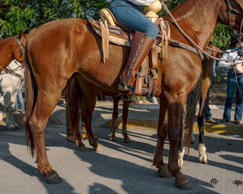 © Mario Alberto Chávez - Image from the Caxitlán photography project