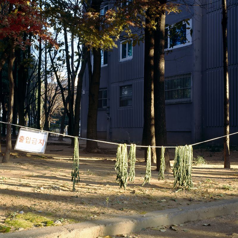 © iamhay - Image from the No More Children in My Motherland photography project