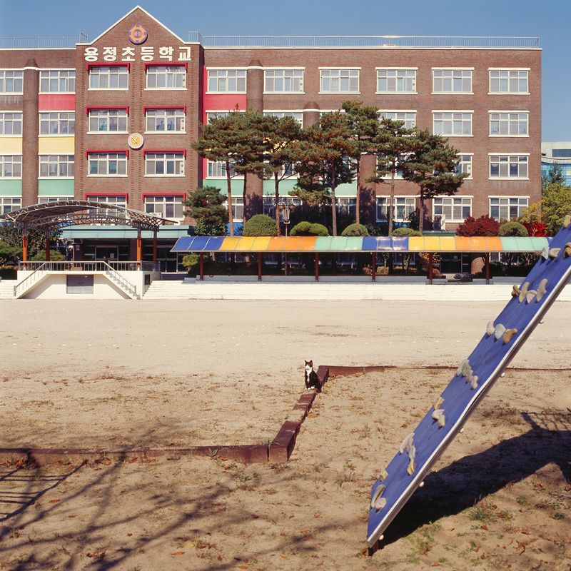 © iamhay - Image from the No More Children in My Motherland photography project