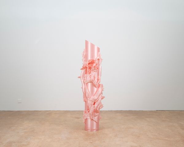 © francesca bergamini - Image from the Pretty in Pink photography project