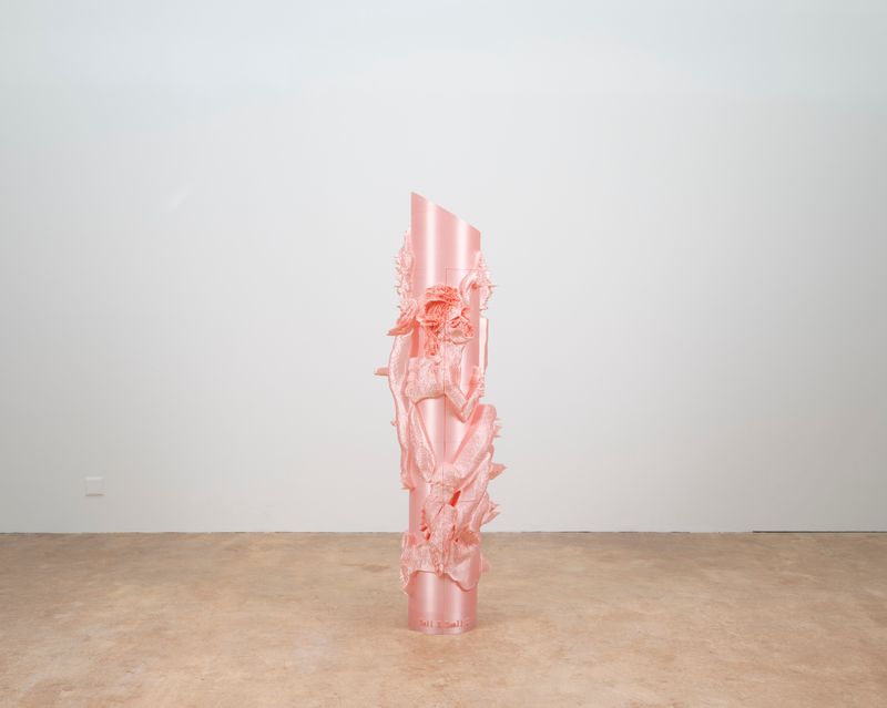 © francesca bergamini - Image from the Pretty in Pink photography project