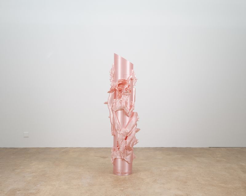 © francesca bergamini - Image from the Pretty in Pink photography project