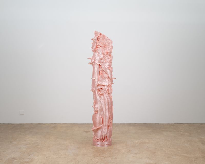 © francesca bergamini - Image from the Pretty in Pink photography project