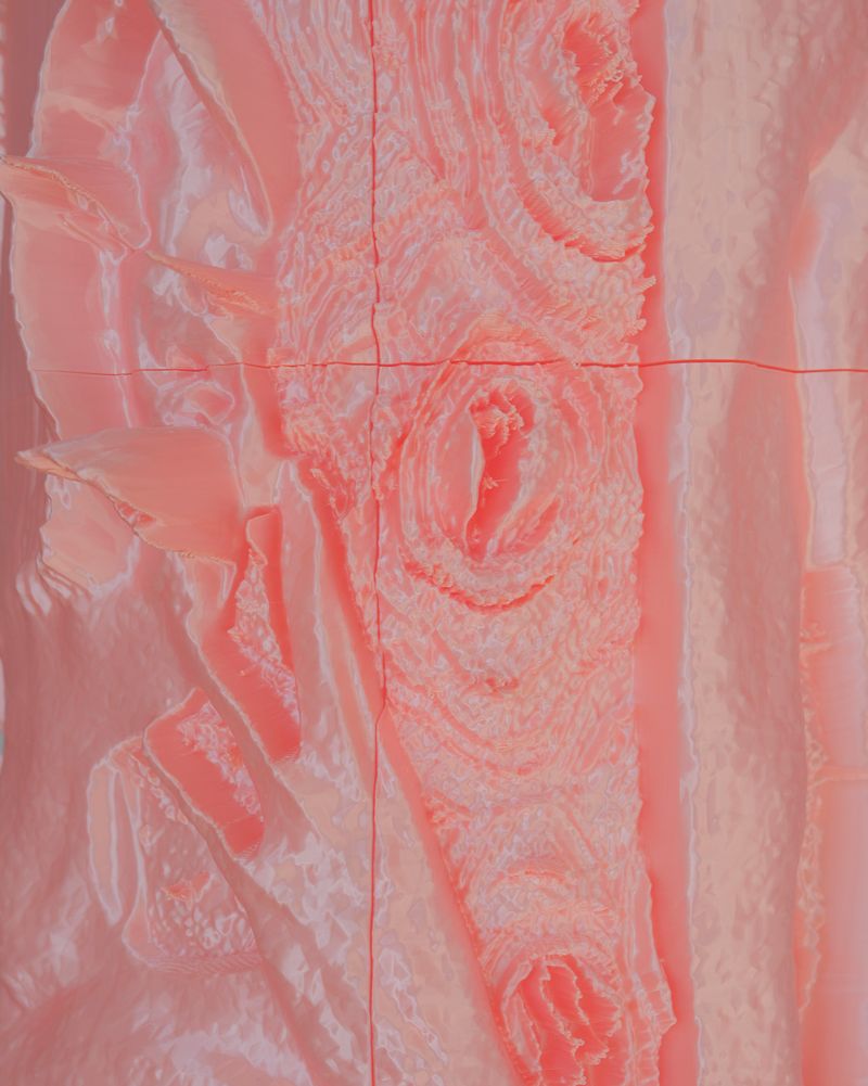 © francesca bergamini - Image from the Pretty in Pink photography project