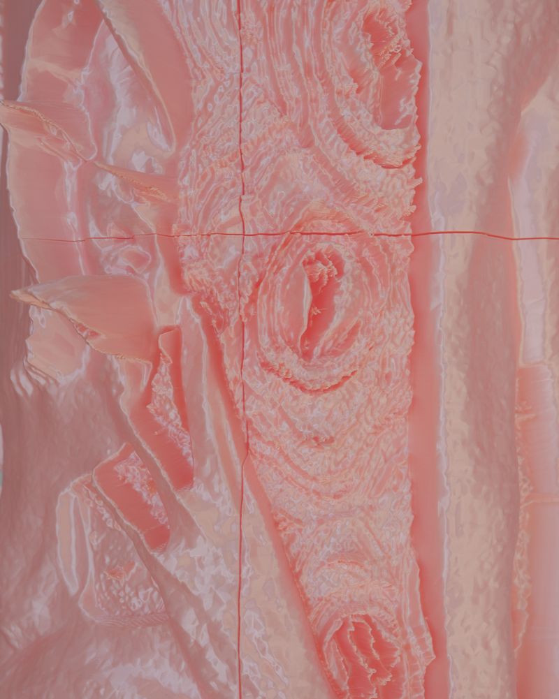 © francesca bergamini - Image from the Pretty in Pink photography project