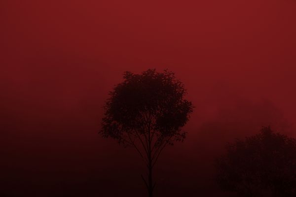 © Mara Sanchez Renero - Image from the iluikak photography project