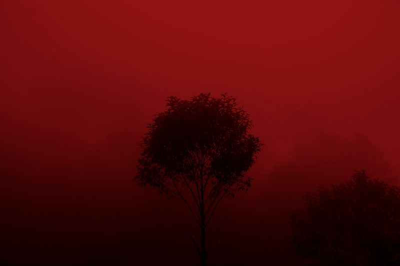 © Mara Sanchez Renero - Image from the iluikak photography project