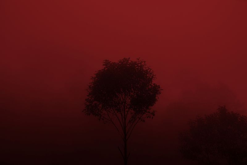 © Mara Sanchez Renero - Image from the iluikak photography project