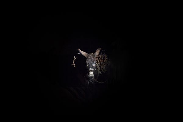 © Mara Sanchez Renero - Image from the iluikak photography project