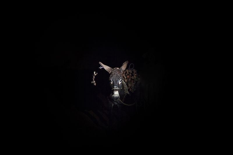 © Mara Sanchez Renero - Image from the iluikak photography project