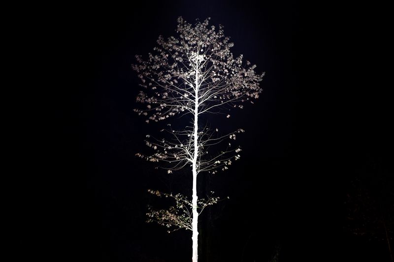 © Mara Sanchez Renero - Image from the iluikak photography project