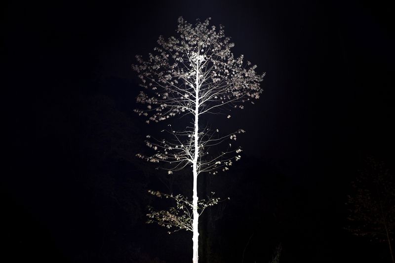 © Mara Sanchez Renero - Image from the iluikak photography project