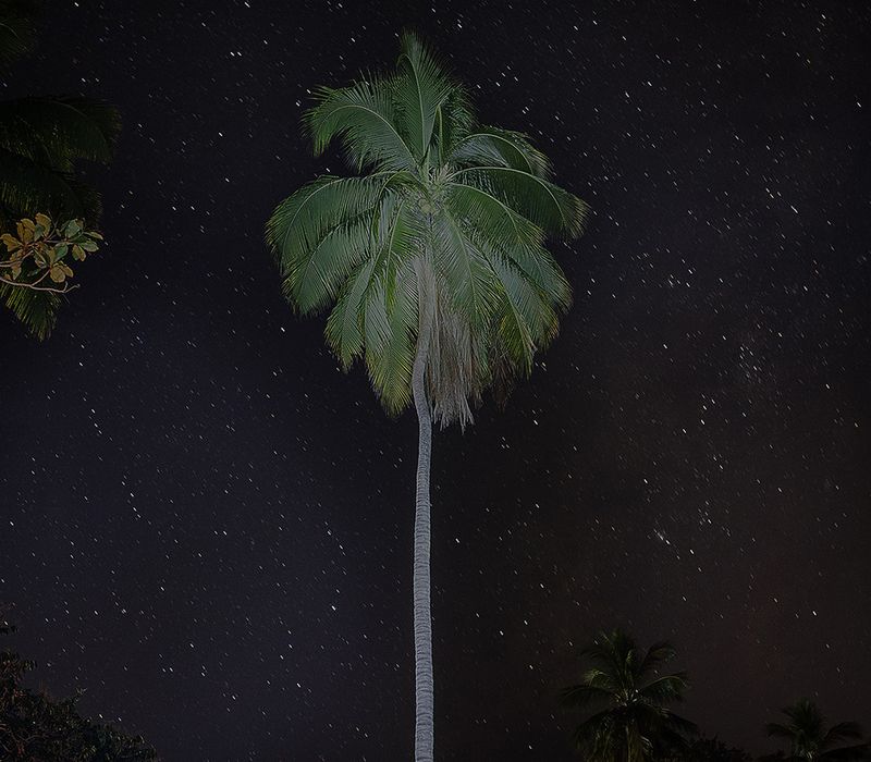 © Mara Sanchez Renero - Image from the El cimarrón y su fandango photography project