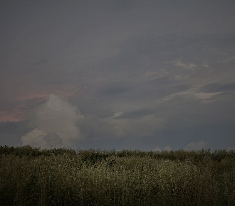 © Mara Sanchez Renero - Image from the El cimarrón y su fandango photography project