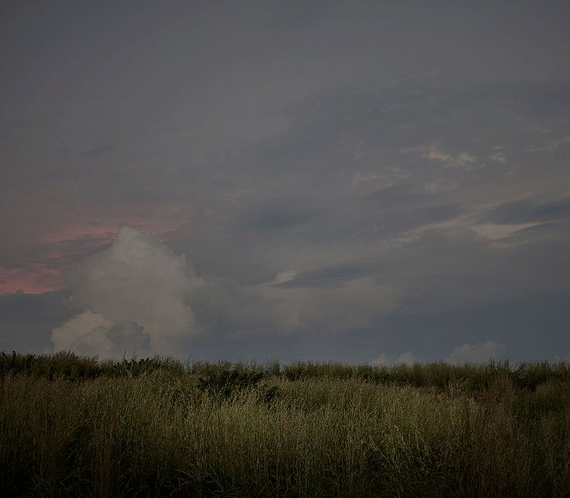 © Mara Sanchez Renero - Image from the El cimarrón y su fandango photography project