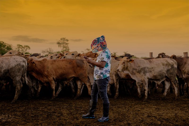 © Mara Sanchez Renero - Image from the Maya LAN photography project