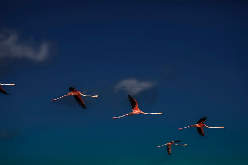 © Mara Sanchez Renero - Image from the Maya LAN photography project