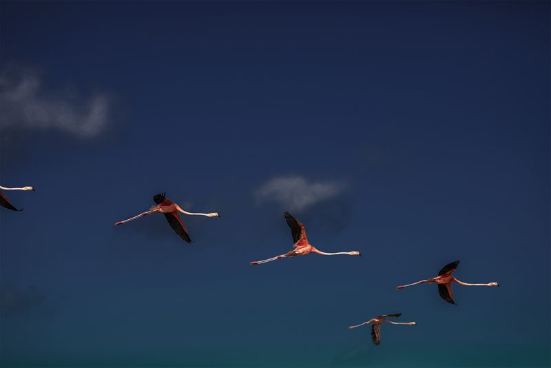 © Mara Sanchez Renero - Image from the Maya LAN photography project