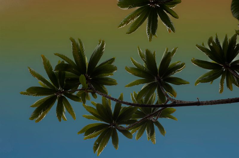 © Mara Sanchez Renero - Image from the Maya LAN photography project