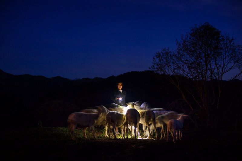 © Mara Sanchez Renero - Image from the iluikak photography project