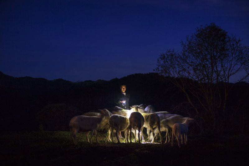 © Mara Sanchez Renero - Image from the iluikak photography project