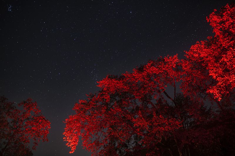 © Mara Sanchez Renero - Image from the iluikak photography project