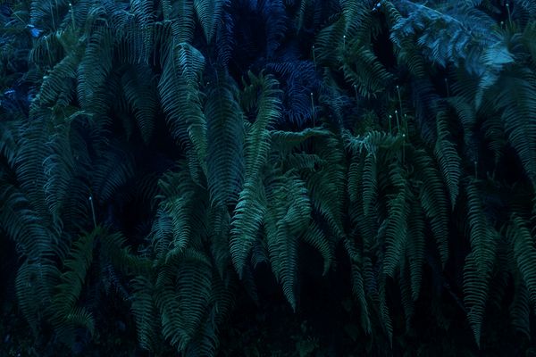 © Mara Sanchez Renero - Image from the iluikak photography project