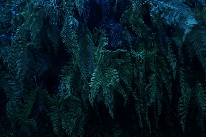 © Mara Sanchez Renero - Image from the iluikak photography project