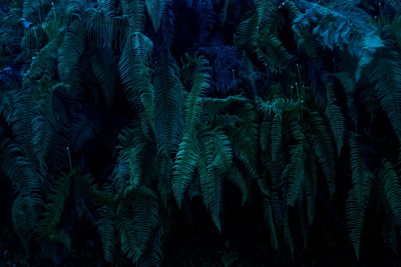 © Mara Sanchez Renero - Image from the iluikak photography project