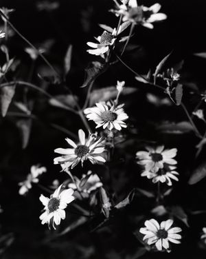 Your Faith is Playing Tricks