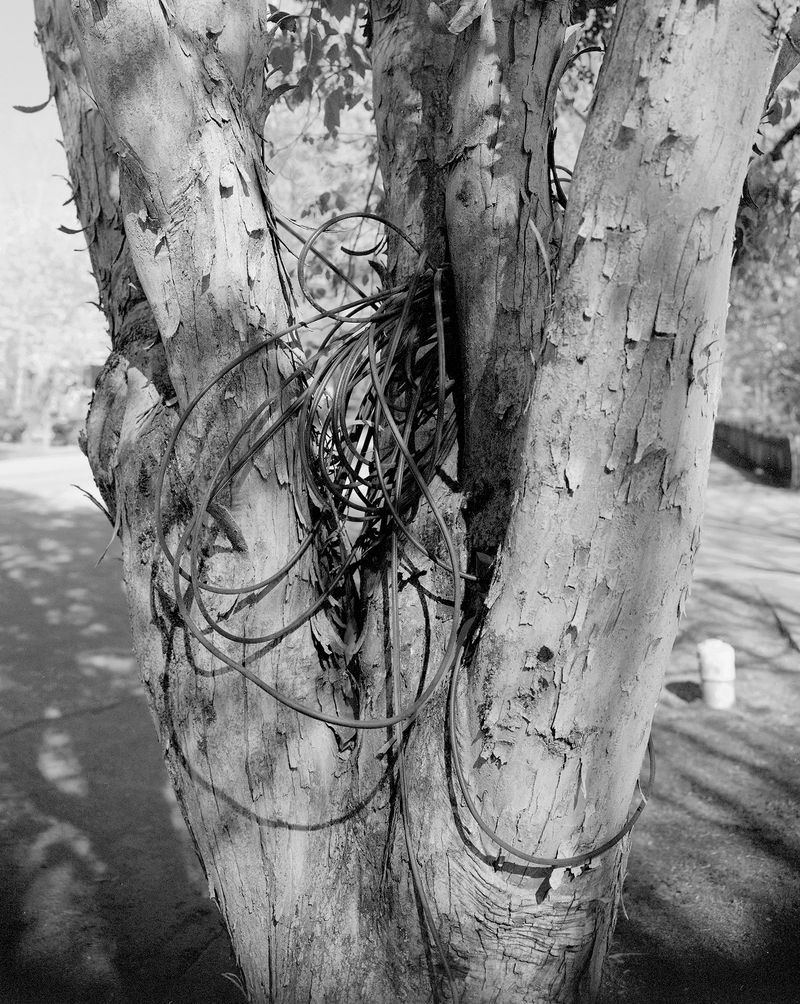 © Lucy Reback - 'Boulevard' 2023