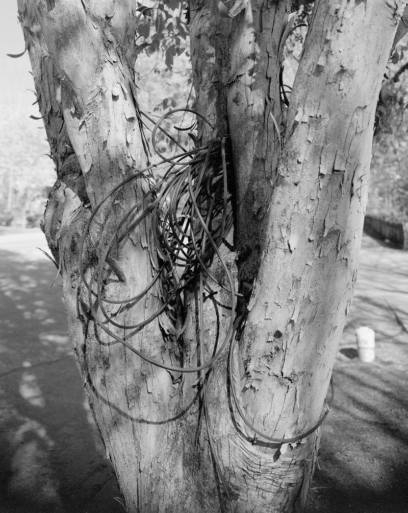 © Lucy Reback - 'Boulevard' 2023