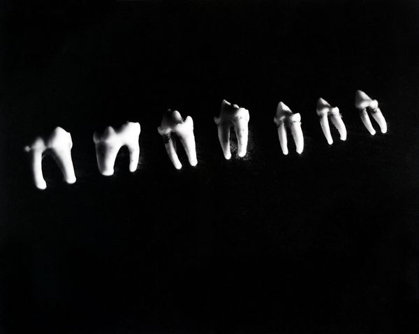 © Lucy Reback - 'Teeth'2025