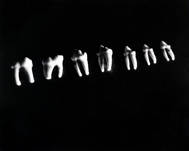 © Lucy Reback - 'Teeth'2025