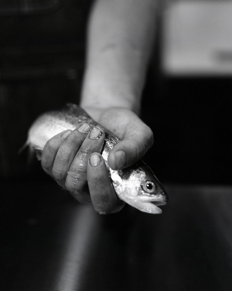 © Lucy Reback - 'Danny at Work' 2024