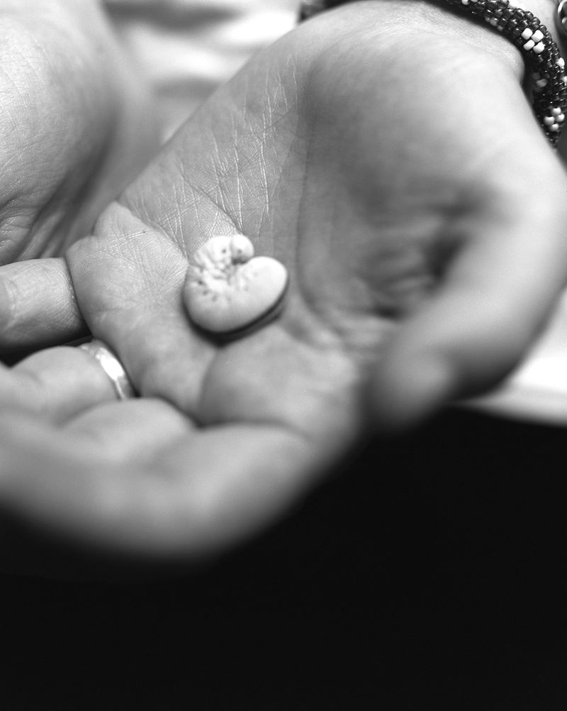 © Lucy Reback - Image from the Sprouting Lillies (Working Title) photography project