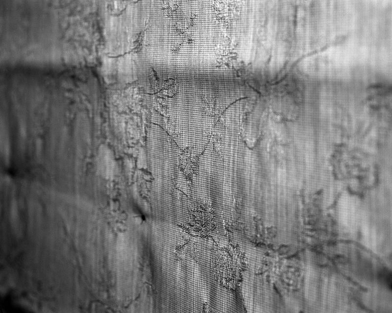 © Lucy Reback - Image from the Sprouting Lillies (Working Title) photography project