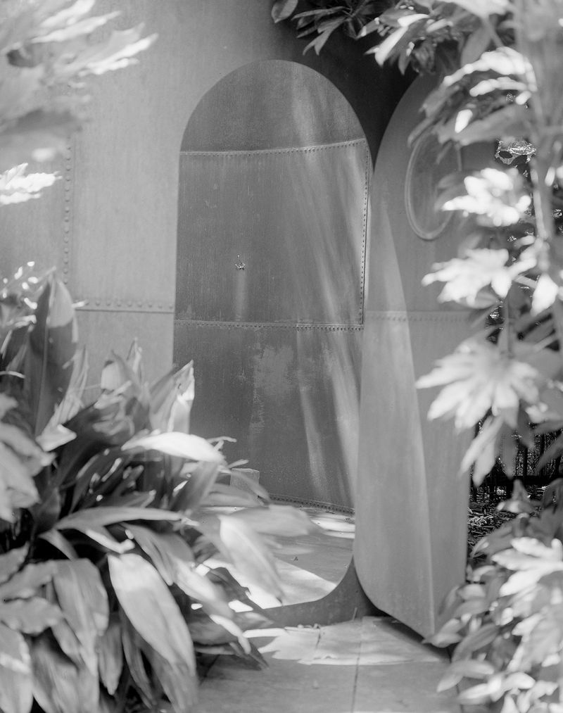 © Lucy Reback - Image from the Feathers to Flesh photography project