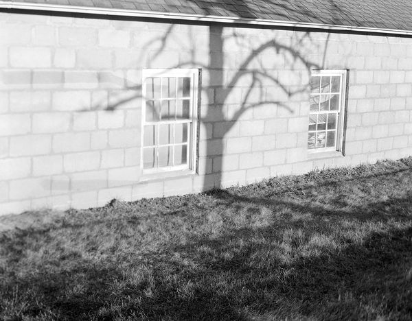 © Lucy Reback - Image from the Feathers to Flesh photography project