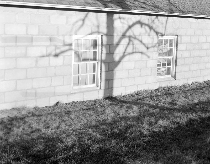 © Lucy Reback - Image from the Feathers to Flesh photography project