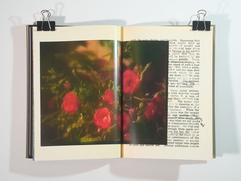 © Jason Hendardy - Image from the There Is No Death by Jason Hendardy photography project