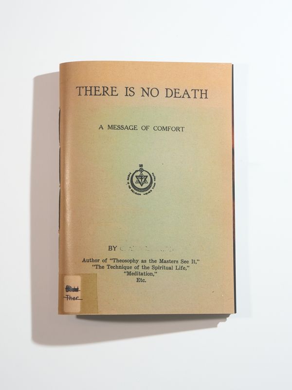 © Jason Hendardy - Image from the There Is No Death by Jason Hendardy photography project