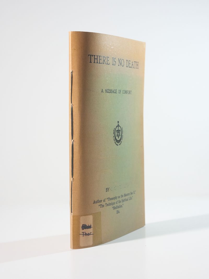 © Jason Hendardy - Image from the There Is No Death by Jason Hendardy photography project