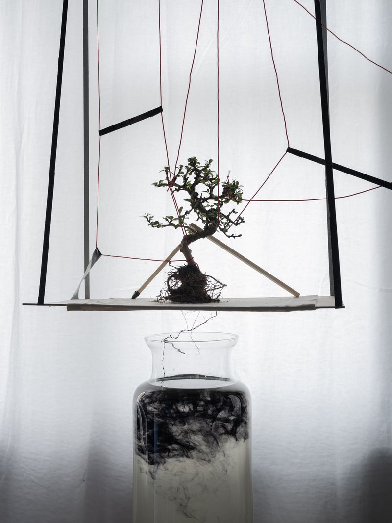 © Jakub Stanek - Image from the To do list: to father a son, to build a house, to plant a tree. photography project